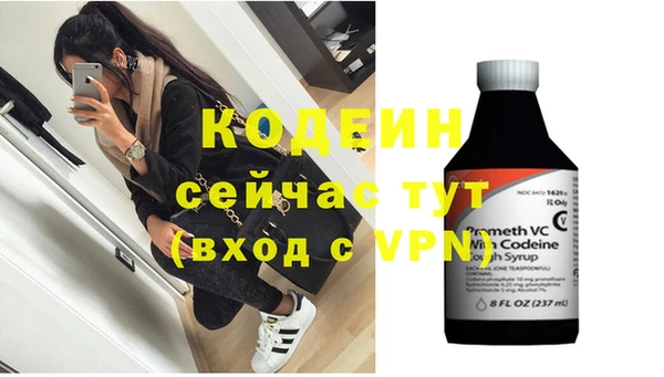 крисы Богородицк