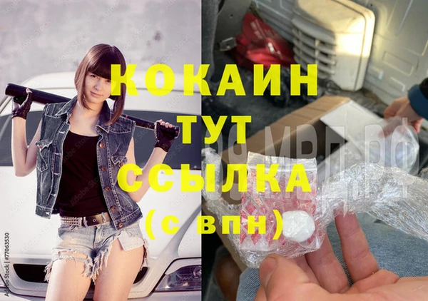 крисы Богородицк