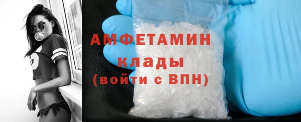 крисы Богородицк