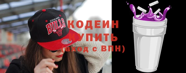 крисы Богородицк