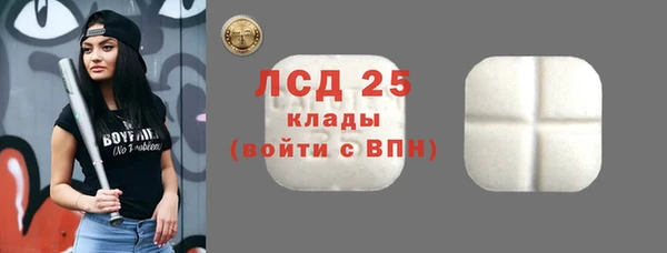 крисы Богородск