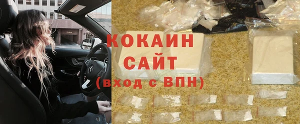 крисы Богородицк