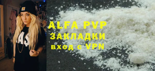крисы Богородицк