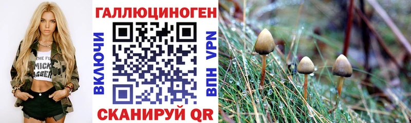 Псилоцибиновые грибы Psilocybe  магазин продажи наркотиков  Краснокамск 